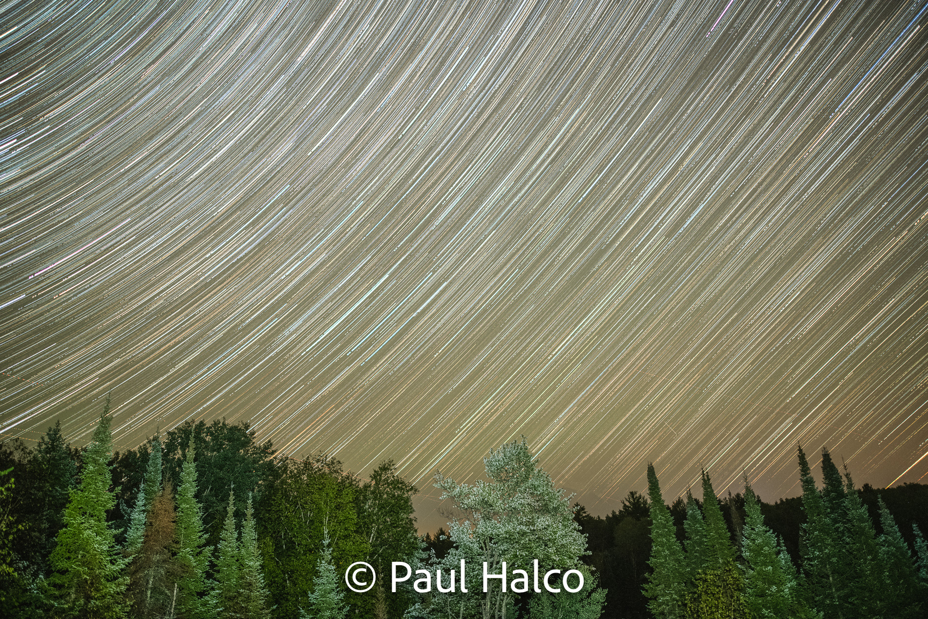 Paul Halco - Voyageurs NP-1